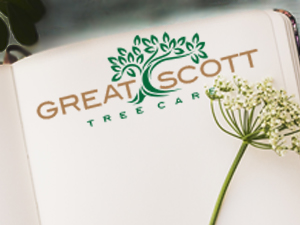 Great Scott Tree Care